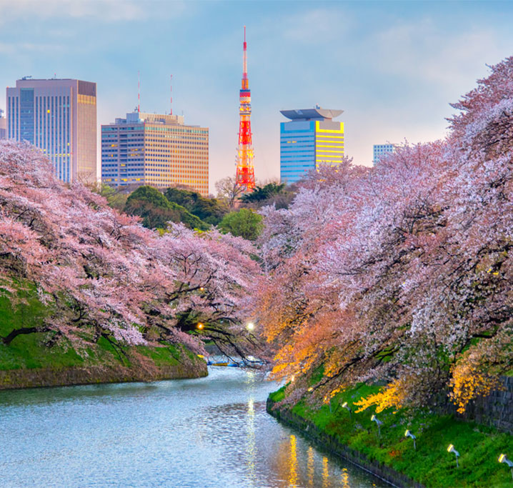 Tokyo